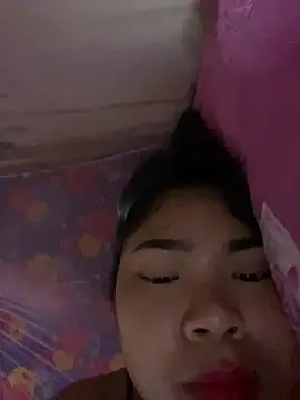 Nul_chal webcam