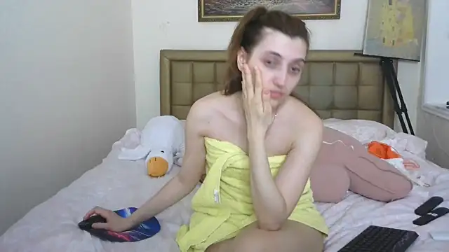 Iren webcam