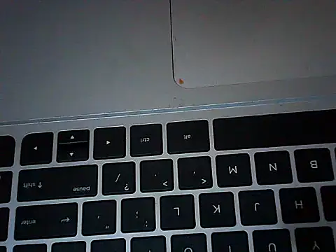 _Fikina webcam