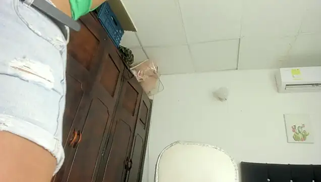 barbie_ds webcam