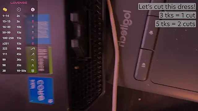 jooycetreier webcam