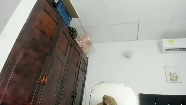 barbie_ds webcam