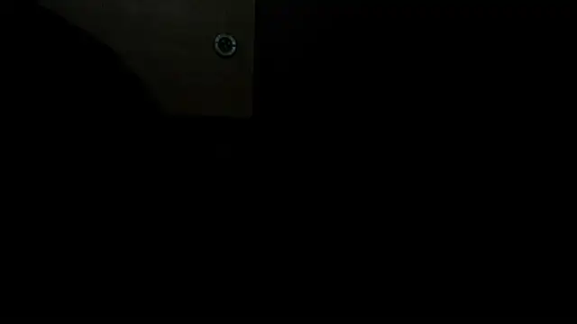 Lika8234 webcam