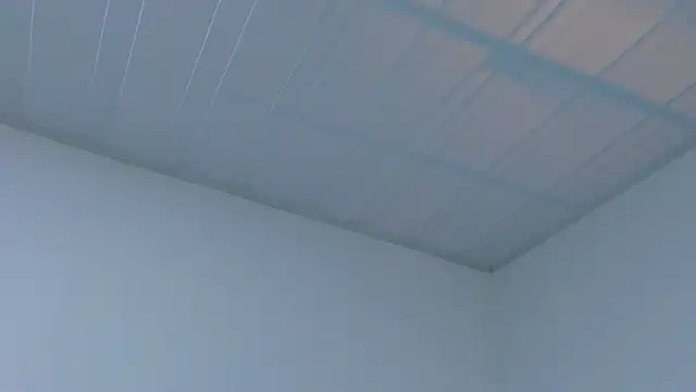 MiaMalcova__ webcam
