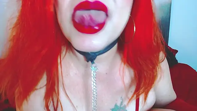 dairia_meraky webcam