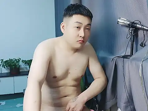 Llpl322
