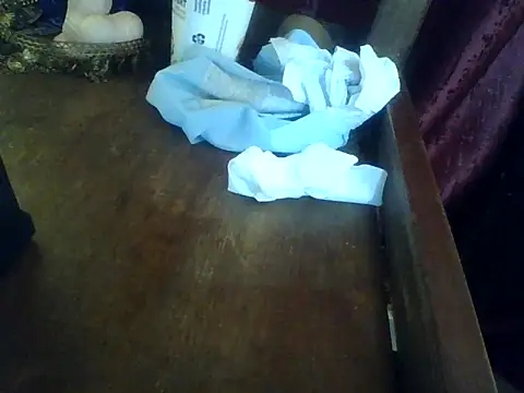 TracyMeme1999 webcam