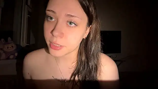 DARVIA webcam