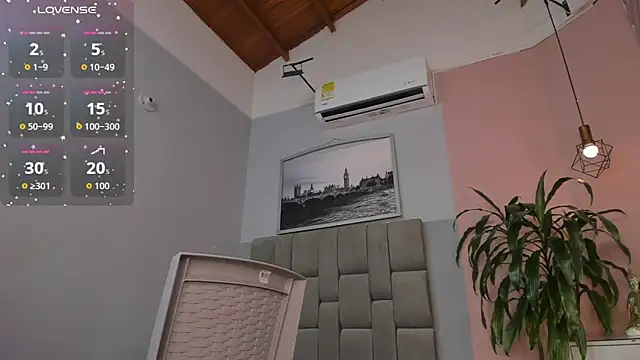 dyvis_22 webcam