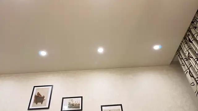 dolly_ll webcam