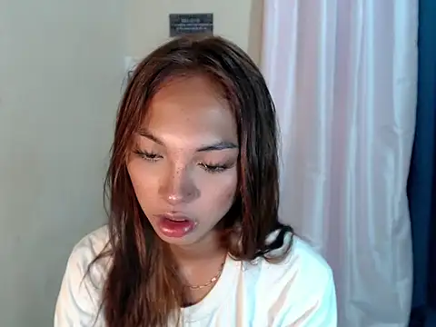 SimiLause webcam