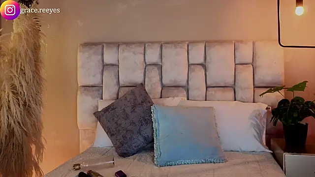 Silvermistt webcam
