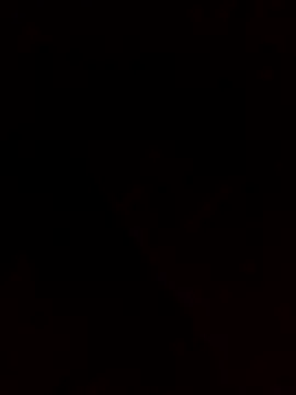 Analqueen1