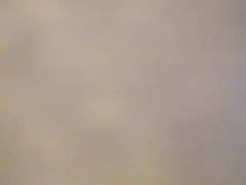 naomi_johnson