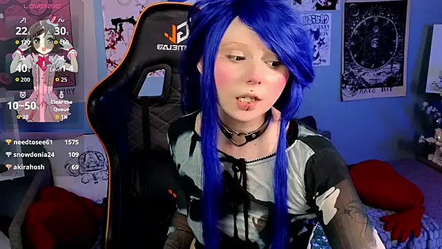 usagi_sasagi webcam