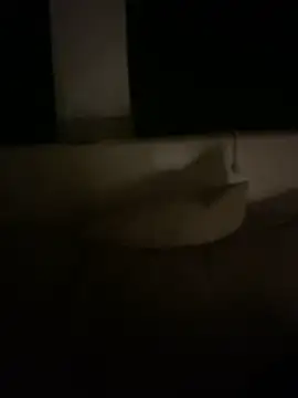 Poupette95 webcam