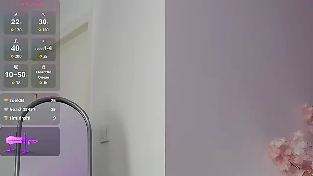 DeniseSun webcam