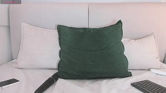 ARI_FLAME webcam