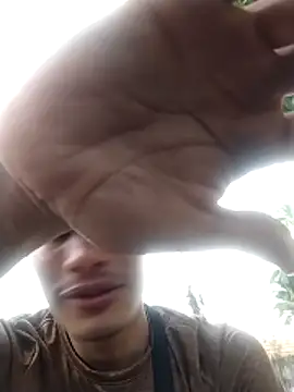 gingavi webcam