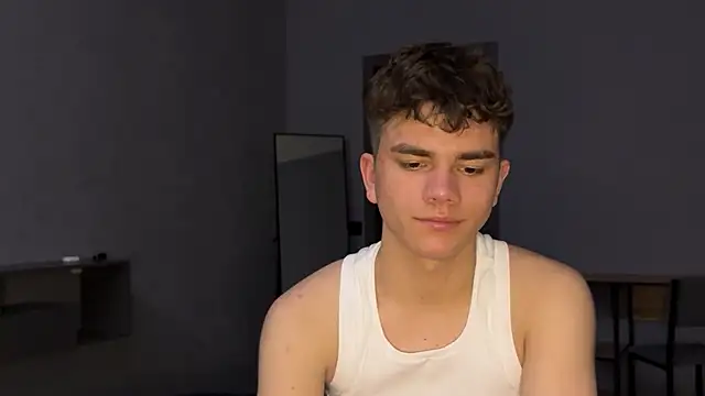 MaxWoolf webcam