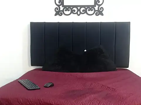 SinBoy_ webcam