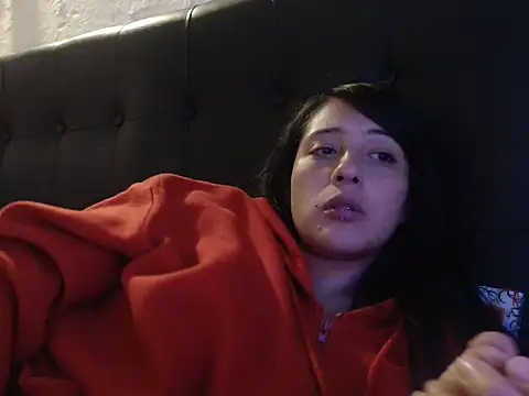 Dulcekat webcam