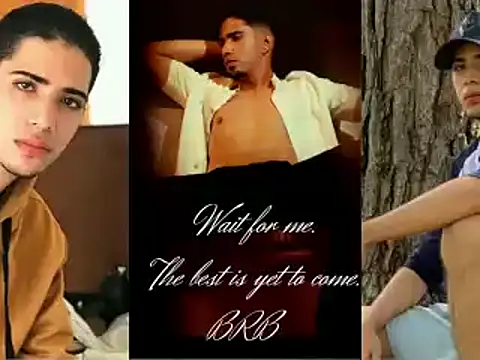 Kratoswolf webcam