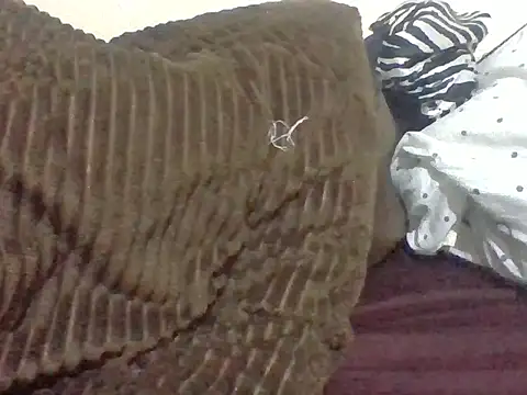 Tariee webcam