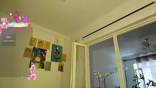 skyyfoxpraga webcam