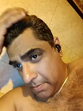 hardnhornybull