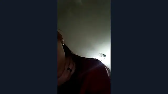 LonaSylvis webcam
