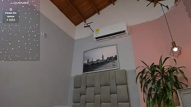 dyvis_22 webcam