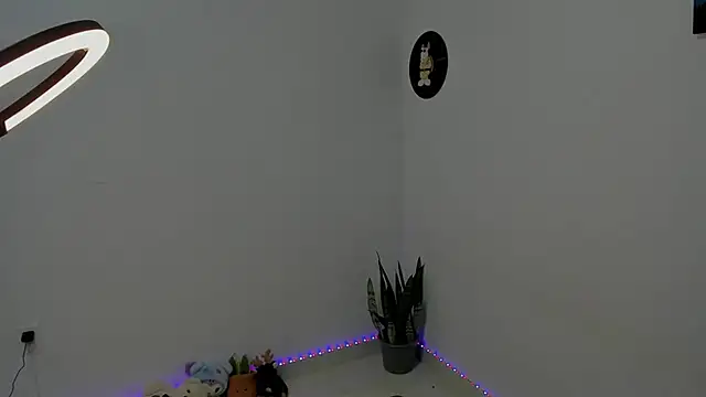 star_shooting8 webcam