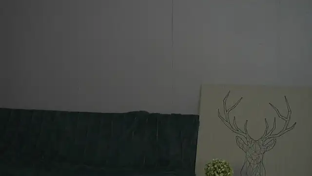 Leyla_crsh webcam