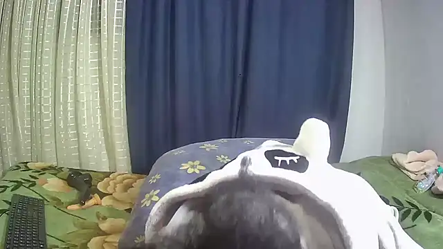 Rikabbe webcam