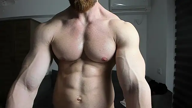 ZkkBlitz webcam