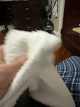 BigDick-A-Money webcam