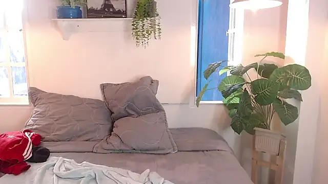 Jesve webcam
