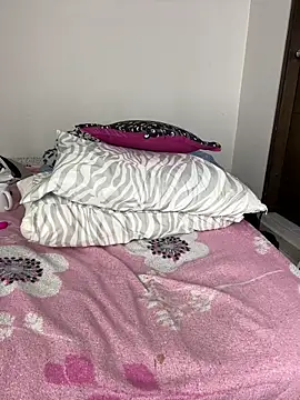 sandylau webcam