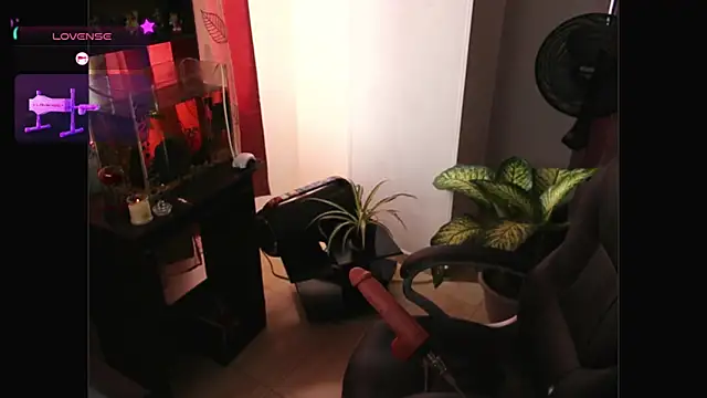 Lady_Kaisa webcam