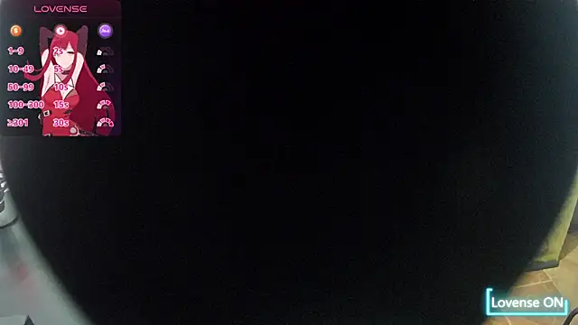 Hanha00 webcam