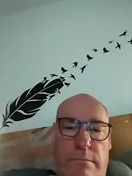 bogland33 webcam