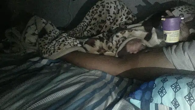 Winterslender webcam