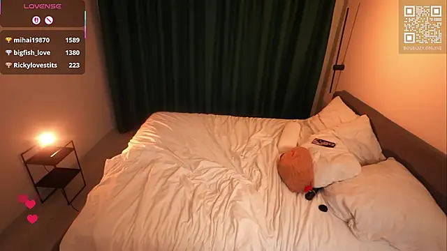 bogduzy webcam