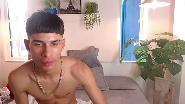 Jesve webcam