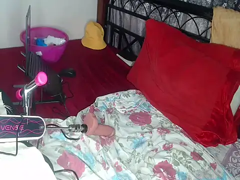 Whimsicalwillow webcam