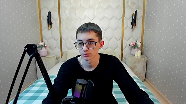 RonBevs webcam