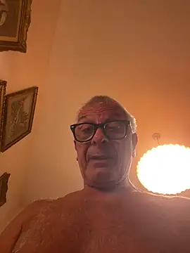 4n4l1zz4m1 webcam