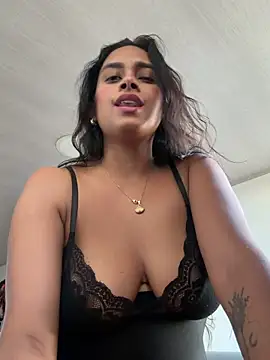 LunaHeat webcam
