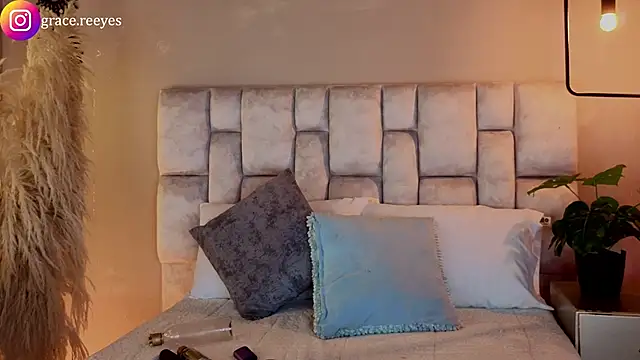 Silvermistt webcam